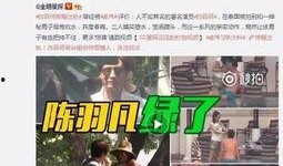 思诺被爆料视频大全最新,揭秘背后真相与争议